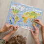 Unidragon Kids World Map
